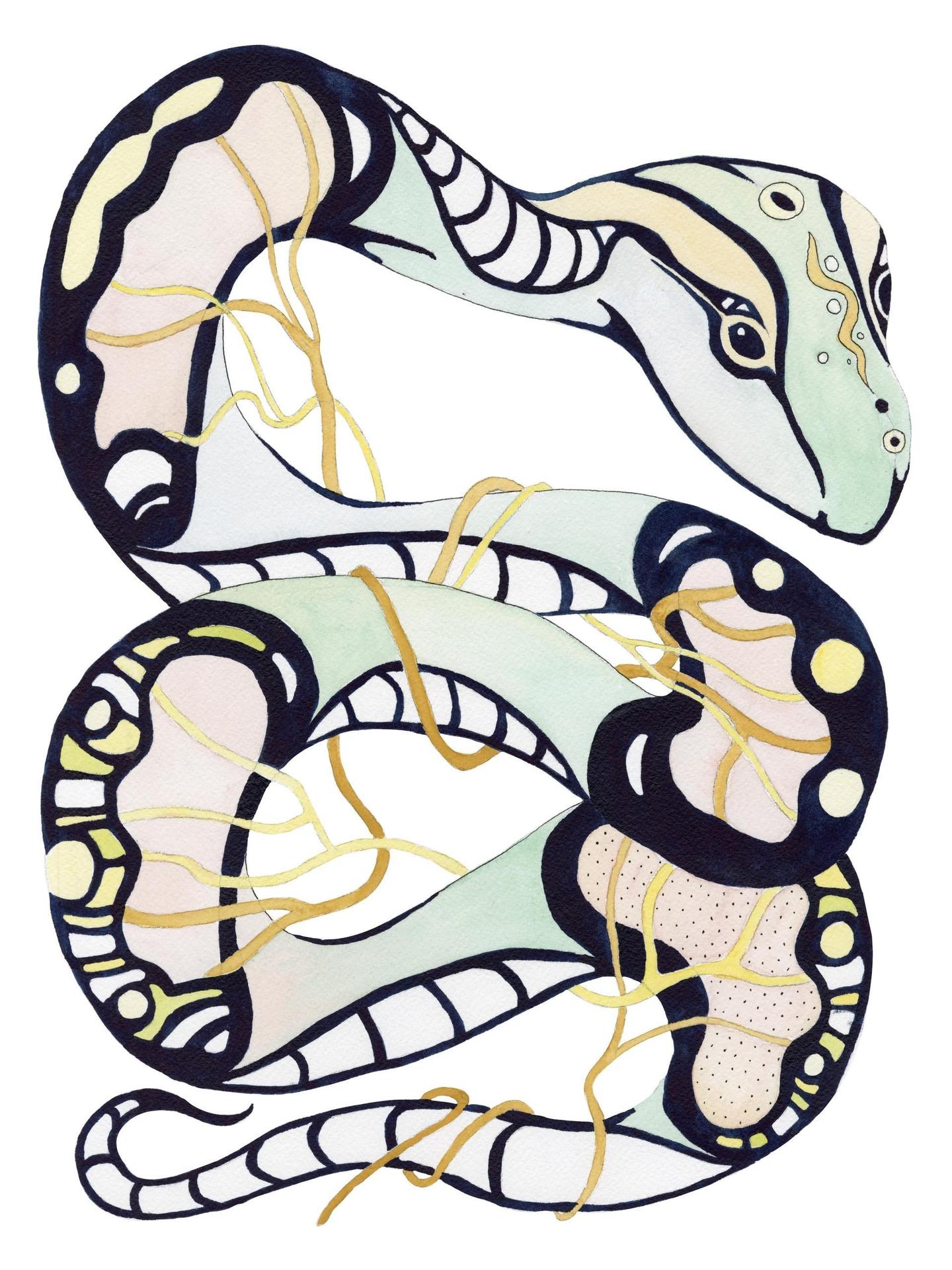 Snake - Spleen Energy